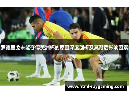 罗德里戈未能夺得美洲杯的原因深度剖析及其背后影响因素