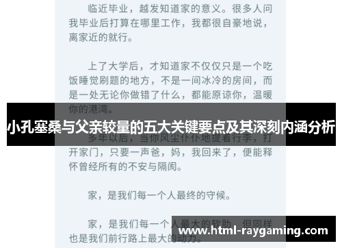 小孔塞桑与父亲较量的五大关键要点及其深刻内涵分析