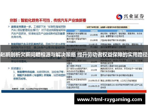赵鹏剖析欠薪问题根源与解决策略 提升劳动者权益保障的实用路径